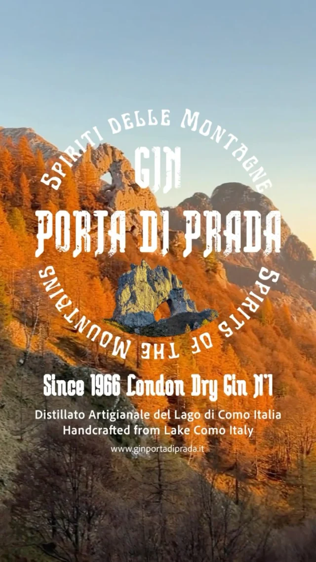 Le nostre botaniche raccontate in questo nuovissimo reel tutto da guardare, tutto genuino come il nostro Gin Porta di Prada.
www.ginportadiprada.it